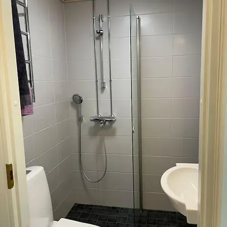 Valoisa Ullakkohuoneisto Apartment