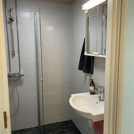 Valoisa Ullakkohuoneisto Apartment Helsinki